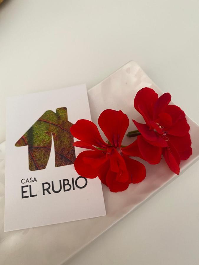 Villa Casa El Rubio San Vicente de la Sonsierra Esterno foto